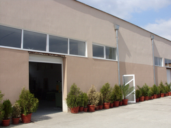 Images: miroslav1.jpg