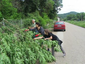 dapochistim1205128