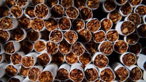 cigari1807131