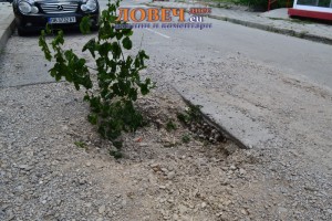 dupka1107132