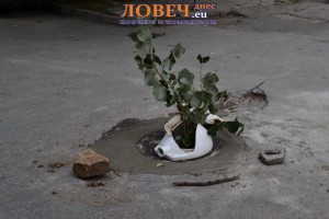 dupki1607132