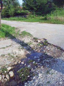 prodimchec1707133