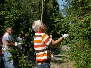 chitsene1008134