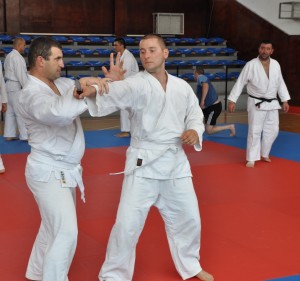 troyan_karate2508131