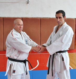 troyan_karate2508135