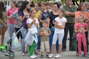 chervenbr13091319