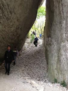 izvor_Zlatna_Panega610133