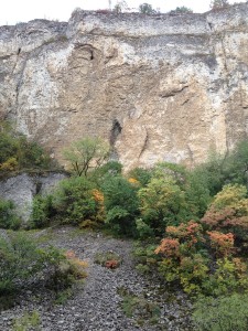 izvor_Zlatna_Panega610134