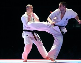 karate110131