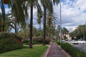 mallorka1510133