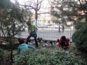 nikiforov3010132