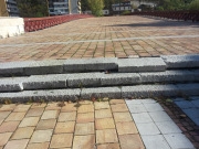 ruini2110133