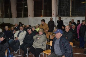 goznica22111311