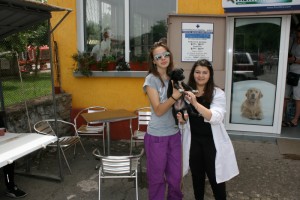 veterinaren511133