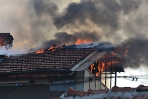 pojar1401143