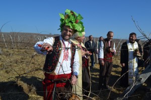 vinaldoirenci140214154