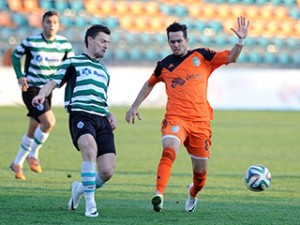 litex1303141