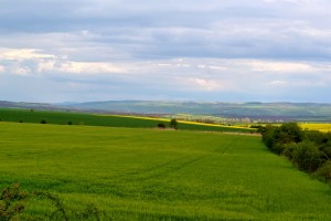 DSC_0083