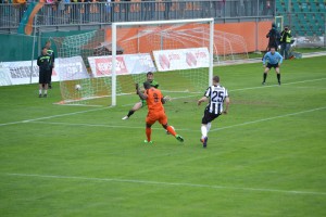 litex904141