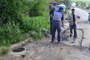 goznica1905146