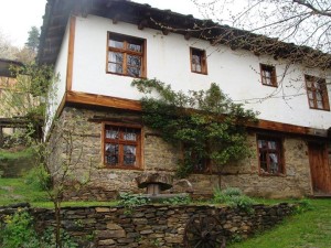 leshten2051416