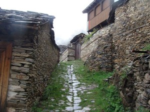 leshten205148