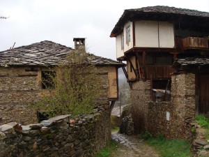 kovachevica1907146