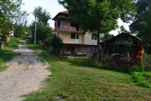 goznica15081412