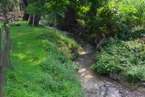 goznica15081413