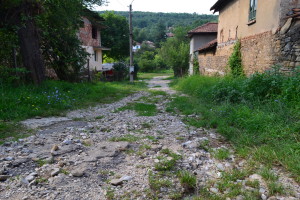 goznica1508144