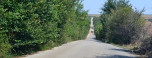 obraslipatishta1709141