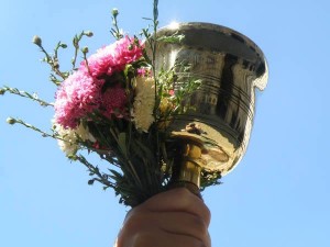 zvanec1509141