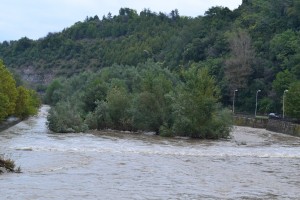 darveta1211148