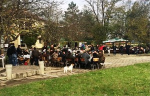 leshnica311141
