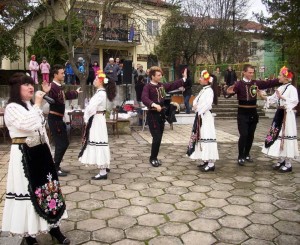 leshnica311143