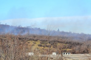 pojar2312141