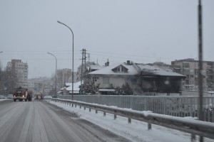 pojar2912143