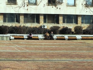 peiki2402151