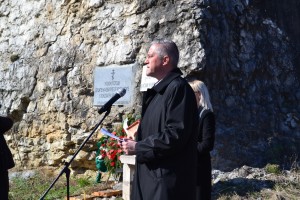 pokoonenie21031561