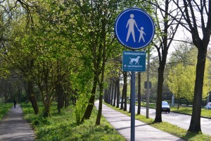 denhaag705151