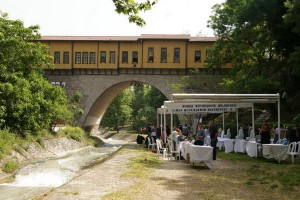 zanaqtibursalovech2605156
