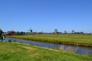 DSC_0209
