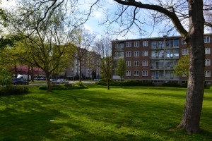 darveta2207152