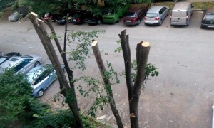 orqzanidarveta2207152