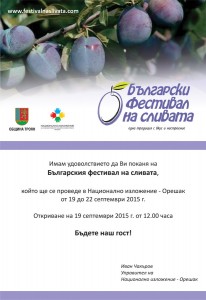 festivalsliva1409154