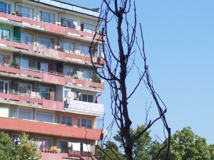 proektizdanki209151