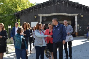 cvetanov31015138