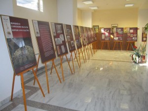 izlojba411151