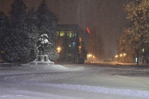 snegovalej301151