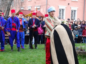 lukovit403161